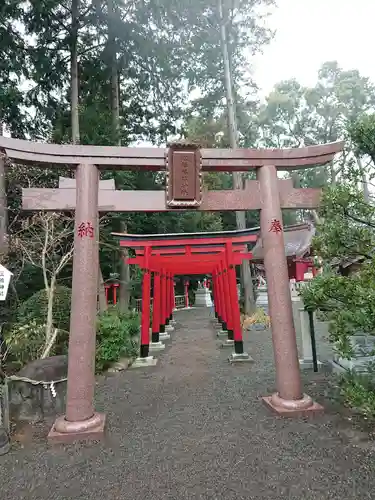 亀ケ池八幡宮の鳥居