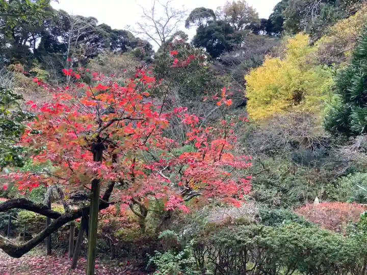 光則寺(神奈川県)