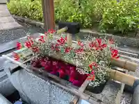 白山神社の手水舎