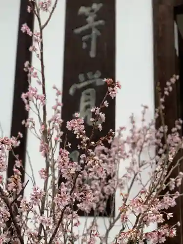 等覚院(神奈川県)