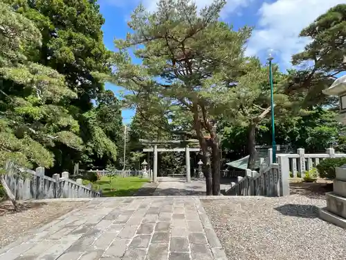 函館八幡宮の鳥居