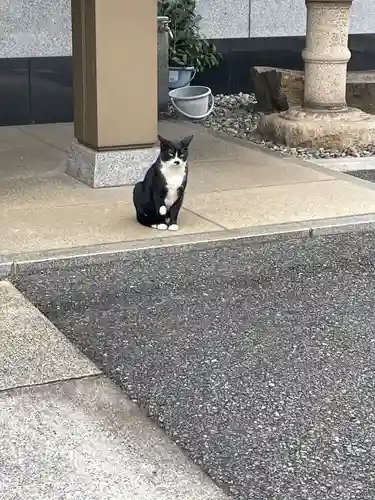 白金氷川神社(東京都)