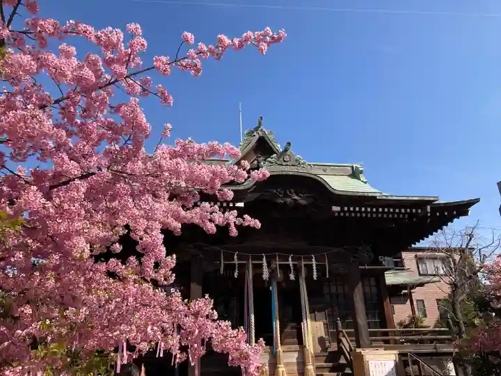 桜神宮(東京都)