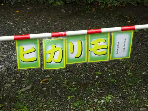 白笹稲荷神社のその他建物