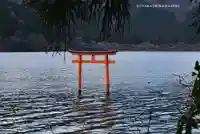 九頭龍神社本宮の鳥居