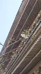 光明寺の建物その他