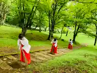 土津神社|こどもと出世の神さまの体験その他