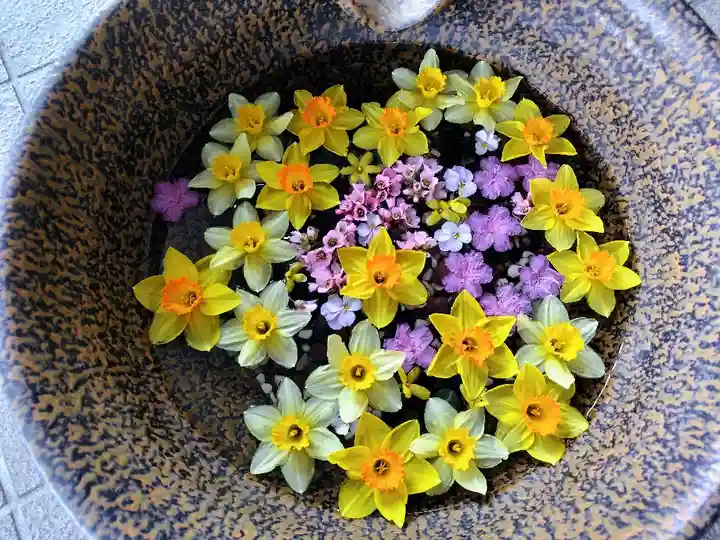 美瑛神社の手水舎