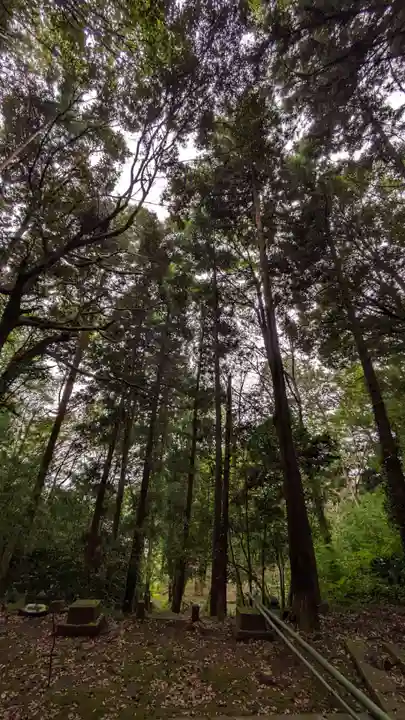 子ノ神社(東京都)
