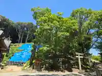 恵蘇八幡宮(福岡県)