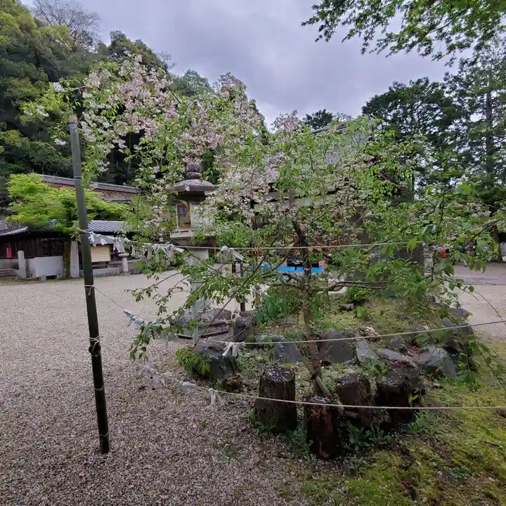 長等神社の自然