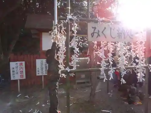 津島神社のおみくじ