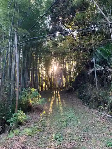 面足神社(千葉県)