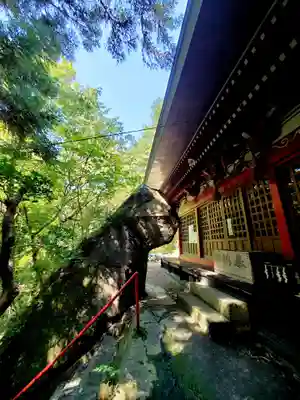 日枝神社の本殿・本堂