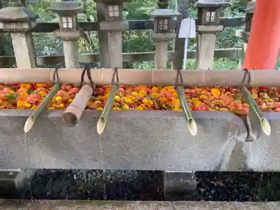 石清水八幡宮(京都府)