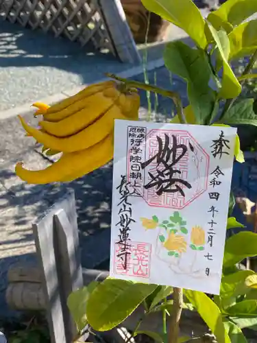 妙蓮寺の御朱印