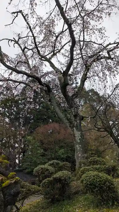 正法寺(京都府)