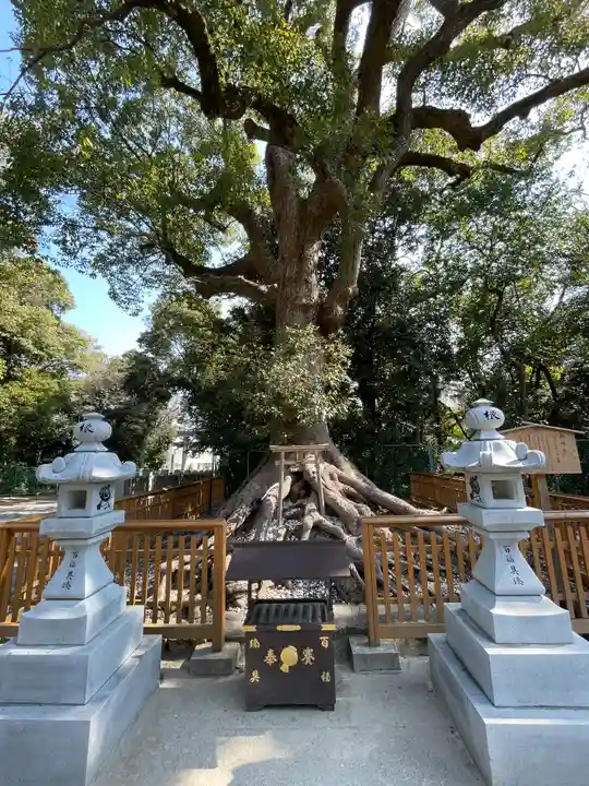 和泉國一之宮 大鳥大社(大阪府)
