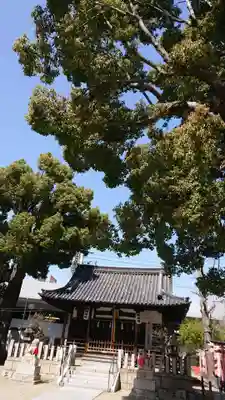 島頭天満宮の本殿・本堂