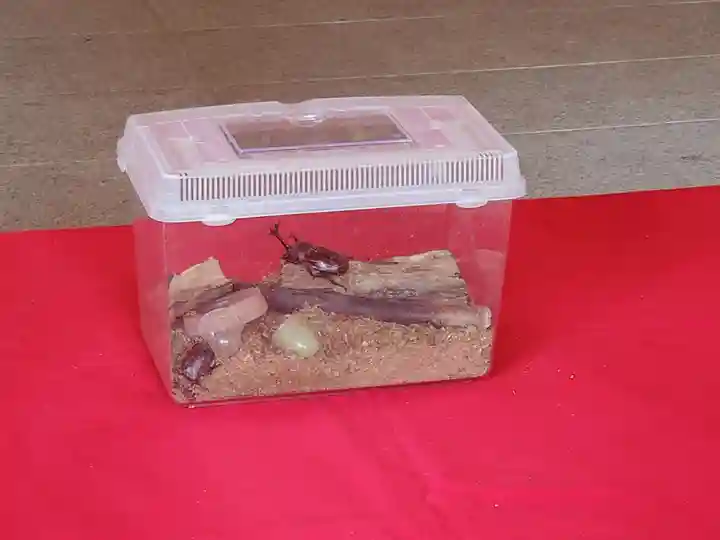 小汐井神社の動物