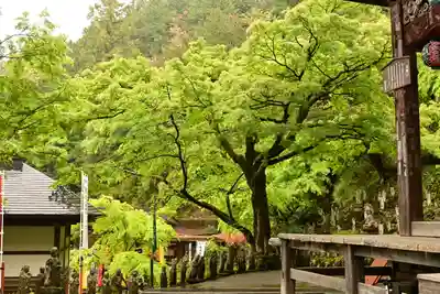 金昌寺(埼玉県)