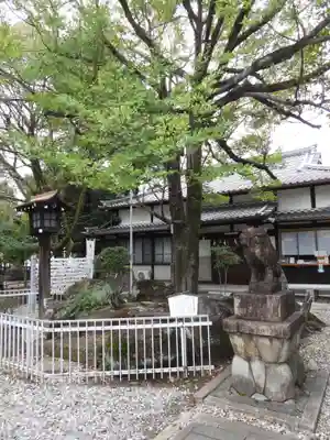 本土神社(岐阜県)