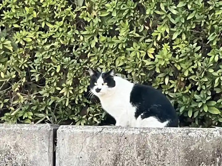 所澤神明社(埼玉県)