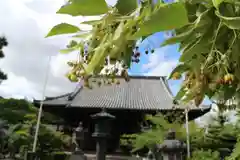 穴太寺の本殿