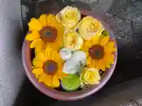 菅生神社(愛知県)