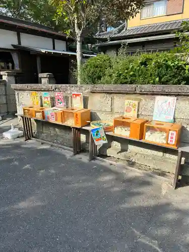 四倉諏訪神社のおみくじ