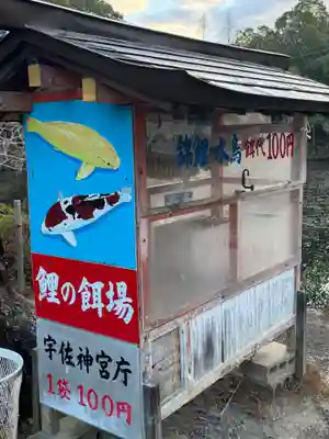 宇佐神宮(大分県)