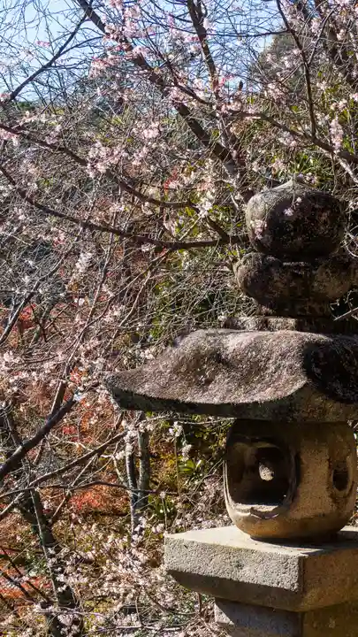 長谷寺(奈良県)