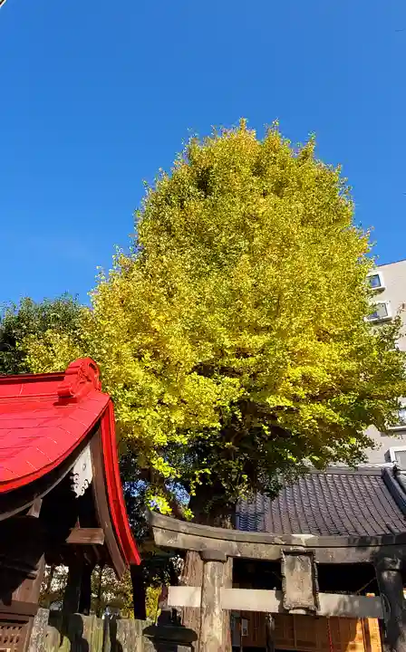 晴門田神社(福島県)