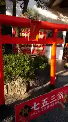 尾張猿田彦神社の七五三参