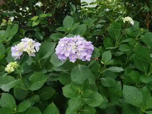 出雲大社 北島国造館 出雲教 藤枝分院の自然