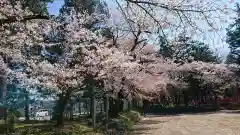 美和神社の自然