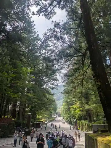 日光東照宮(栃木県)