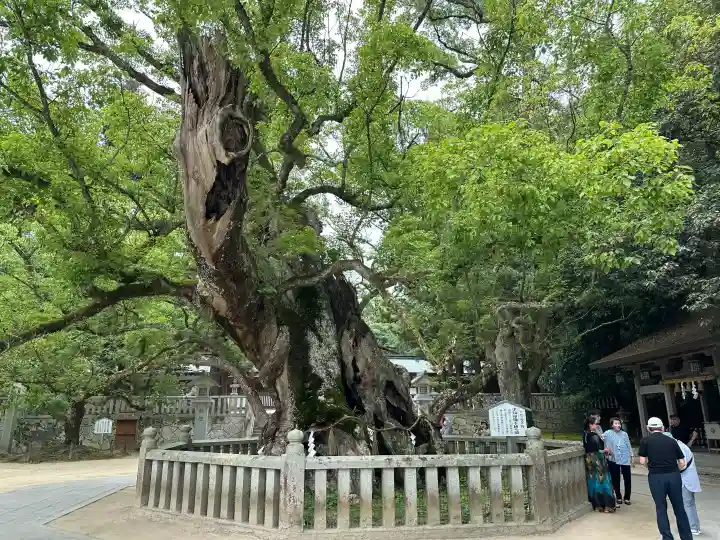 大山祇神社の庭園