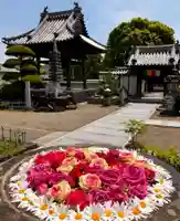 真言宗 善通寺派 薬王寺(香川県)