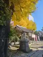 柏神社(千葉県)