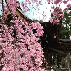 豊景神社の自然