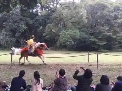 明治神宮のお祭り