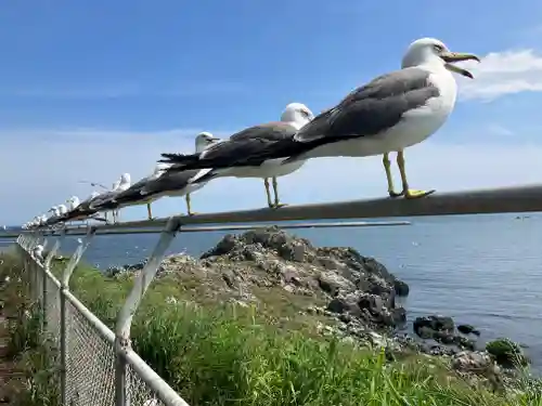 蕪嶋神社(青森県)