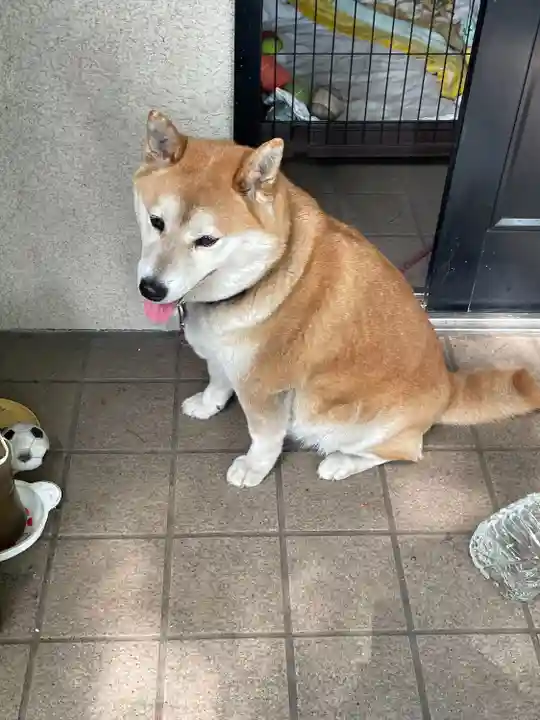 笠䅣稲荷神社(神奈川県)