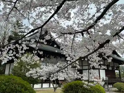 廣隆寺(京都府)