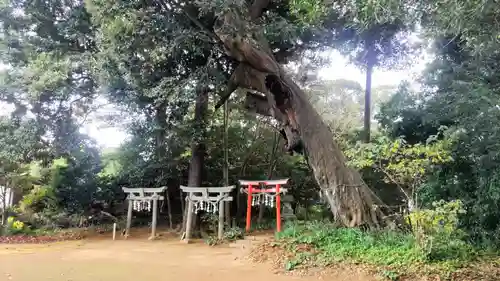 雷神社(千葉県)