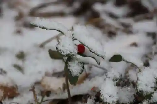 鹿島大神宮の自然