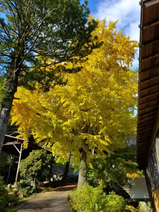 曹洞宗 永松山 龍泉寺(福島県)