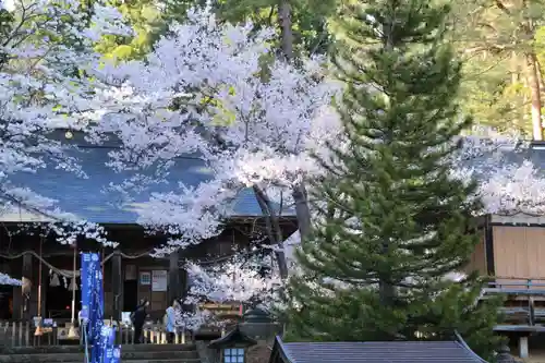 土津神社｜こどもと出世の神さまの景色