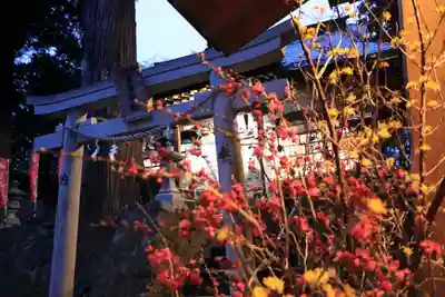 高司神社〜むすびの神の鎮まる社〜の鳥居